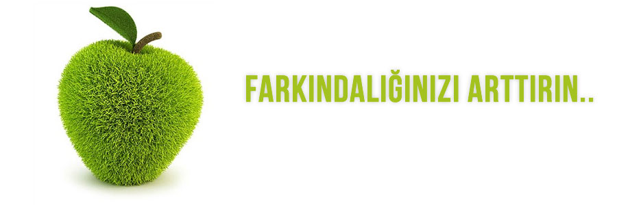 Freelance web tasar�m