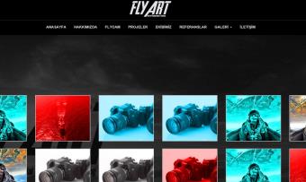 flyartcam.com, flyart